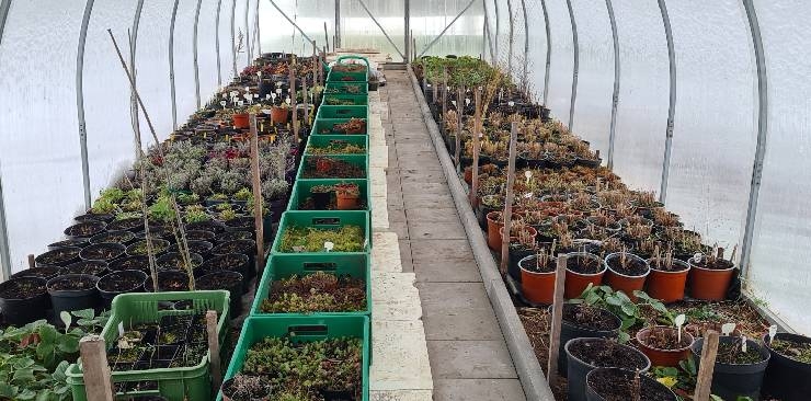 Katalogas 2026m. atnaujintas.