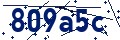Apsaugos kodas